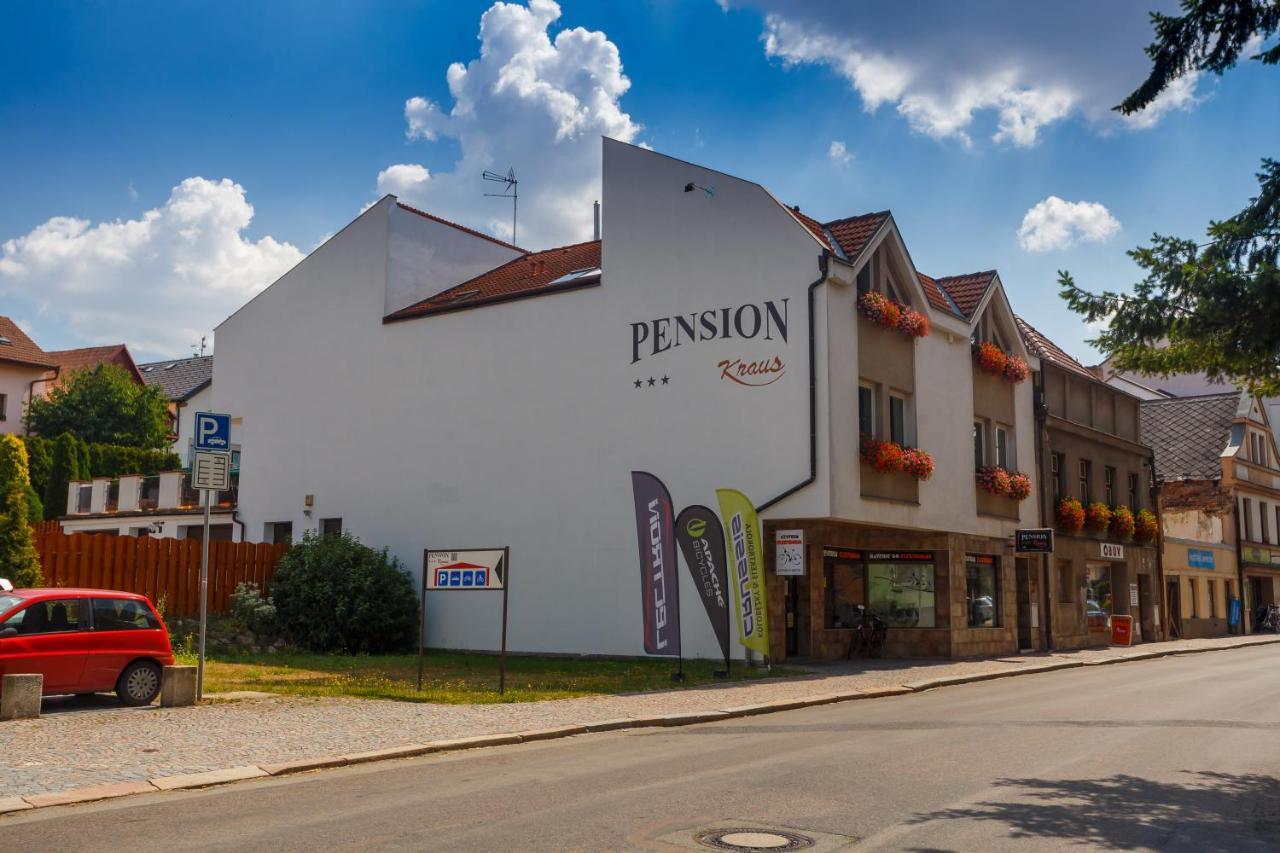 Pension Kraus Літомишль Екстер'єр фото